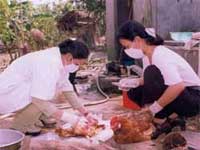 10% of Vietnam's population will be infected with H5N1, if ...