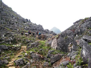 10 outstanding environmental and resource events in 2010