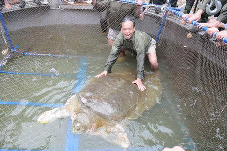 10 outstanding Vietnamese environmental events in 2011