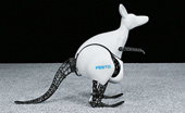 10 robots with animal shapes