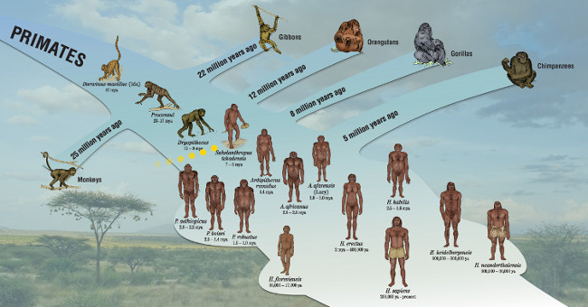 10 scientific mysteries are challenging people