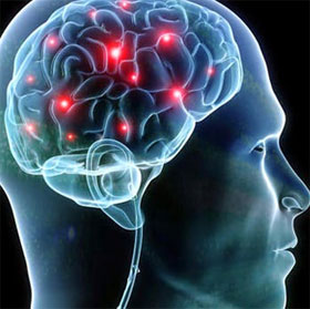 10 strange things of the brain