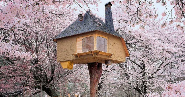 10 super beautiful tree houses in the world
