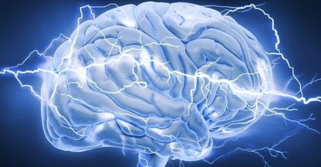 10 things about the brain