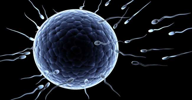 10 things you don't know about sperm