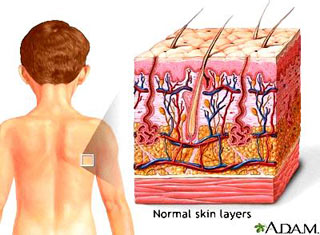 10 things you don't know about your skin