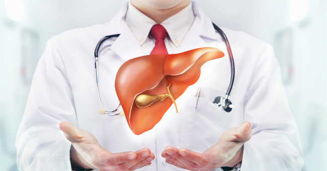10 things you may not know about the liver