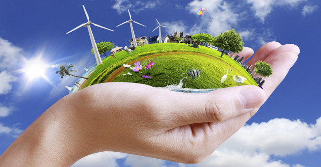 10 ways to protect the living environment