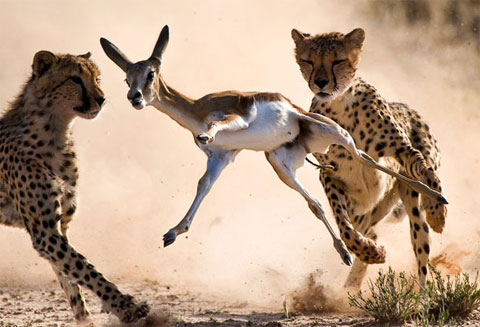 10 works won the Veolia international photography award