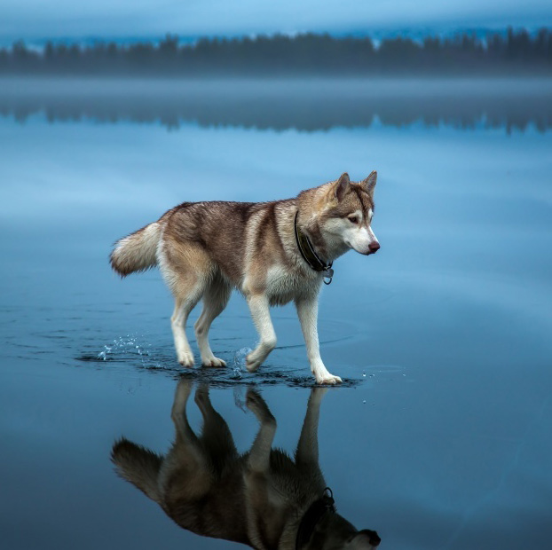 100 beautiful, unbelievable photos, never before photoshop (part 2)