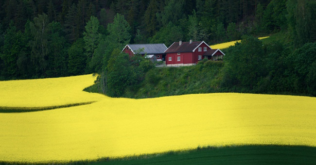 100 beautiful, unbelievable photos, never before photoshop (part 4)