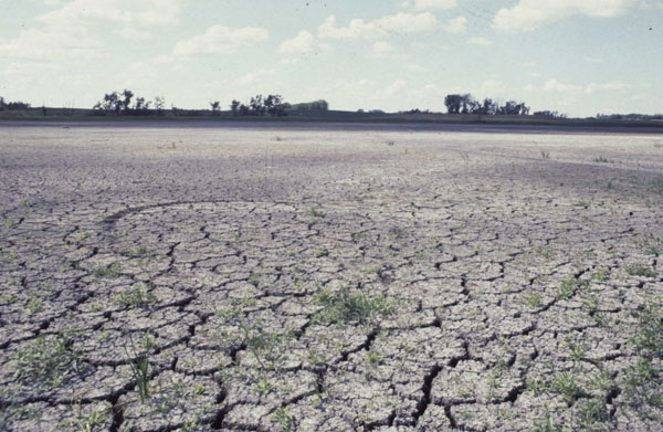 100 million people could die before 2030 due to climate change