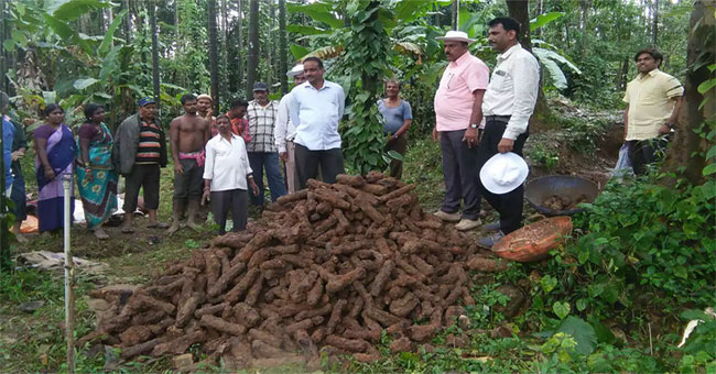 1000 Indian king's rockets buried under wild wells