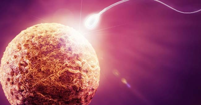 11 interesting facts about the human body not everyone knows