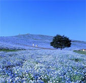 11 natural wonders with surreal beauty