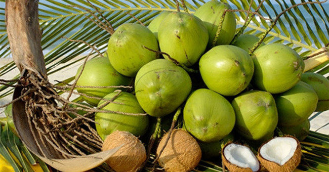 11 reasons to drink coconut water
