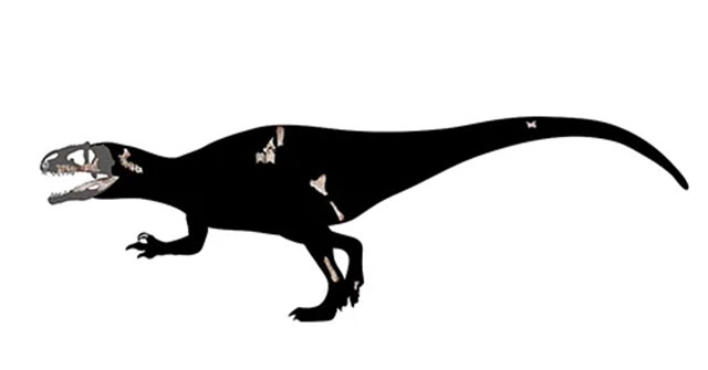 114 million-year-old fossils reveal new 'super beasts'