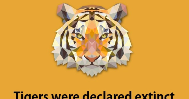 12 interesting facts about tigers that amaze you