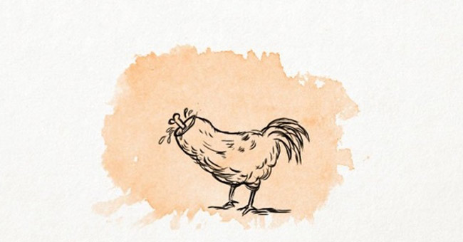 12 'super fun' facts that amaze you