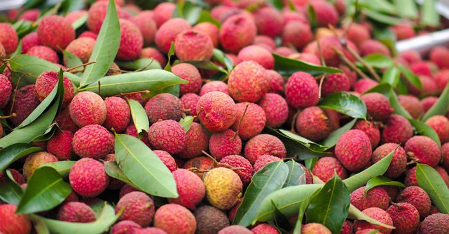 13 great benefits of litchi for health and beauty