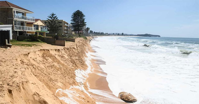 1/4 of the world's beach area will disappear