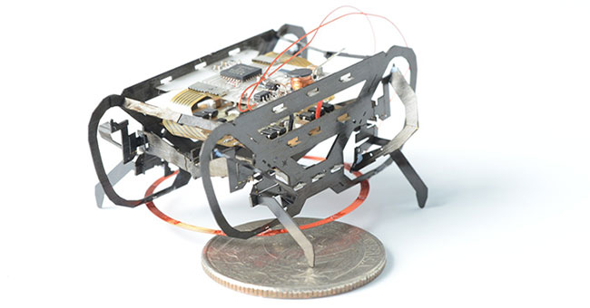 1.5 g heavy robot 'accepts' all types of terrain by mimicking cockroaches