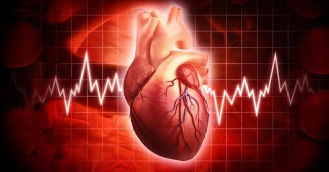 15 interesting facts you may not know yet