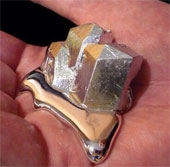 15 pictures of interesting things you may not have been able to say