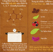 15 Things You Should Know About Caffeine