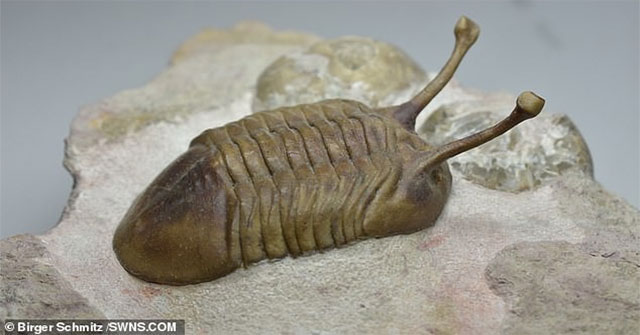 150km asteroid hit Earth, a series of new creatures were born