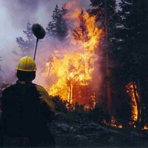 16 provinces with extremely high risk of forest fires