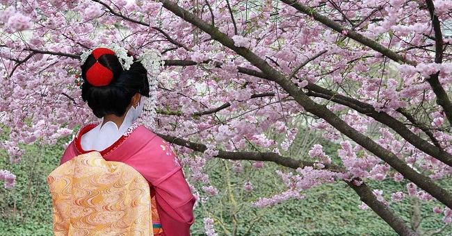 18 interesting facts about Japan