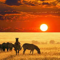 18 unbelievably beautiful natural photos make viewers mistaken for a Photoshop product