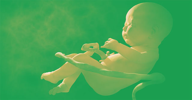 2 genetic modification babies in China are at risk of premature death