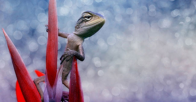 20 perfect photos without photoshop