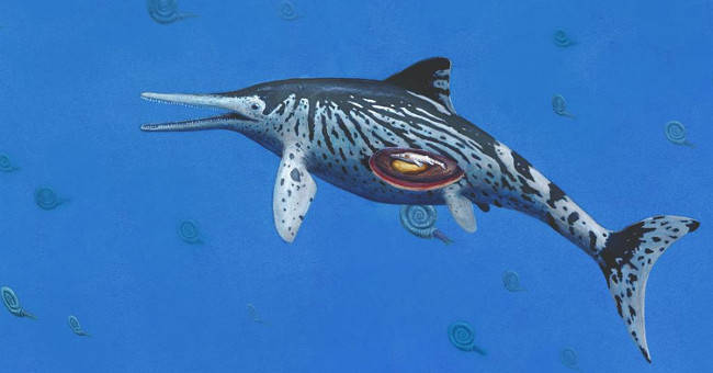 200 million year long sea fossil remains intact