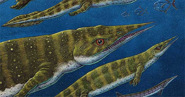 200 million-year-old sea lizard fossils discovered