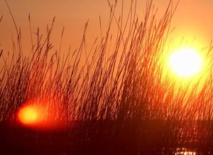 2006: The year with the highest temperature in 150 years