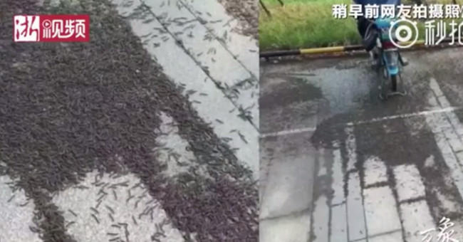200m long carpet deep covered with Chinese train station