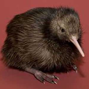 2010: Each month has a rare creature