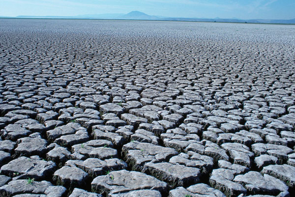 2011 - one of the ten hottest years