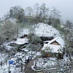 2011 - Year of cold records