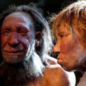 2012: What do we know about humanity?
