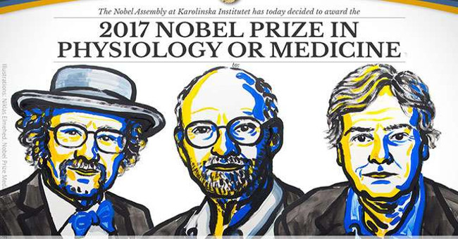 2017 Nobel Medicine for discovering the mechanism of biological rhythm control
