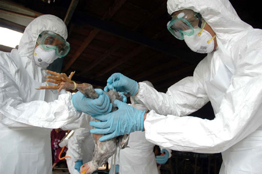 2020 pandemic flu attack humans?