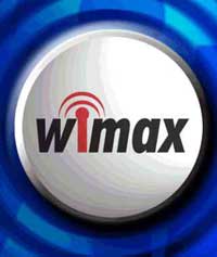 24 global ViMAX network service providers