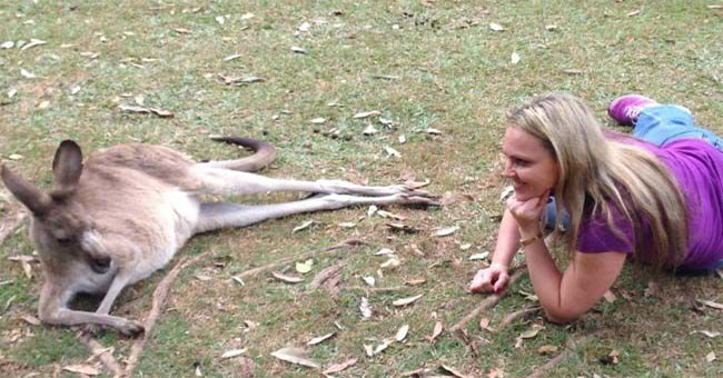 25 weird images only in Australia you need to know if you want to go there