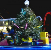 25,000 East-dwelling parasites on every Christmas tree