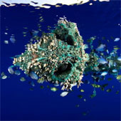 269,000 tons of contaminated plastic floated on the ocean