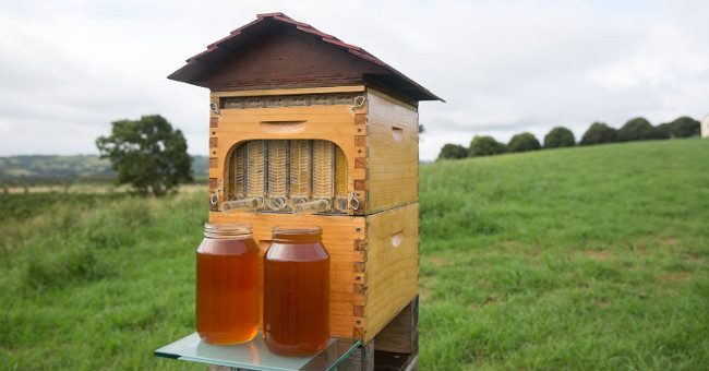 3 inventions that support farm work